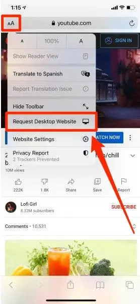 listen youtube in background on iphone 1