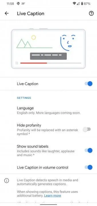 live caption pixel