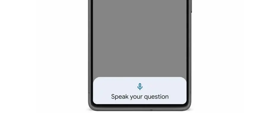 lookout image question and answer