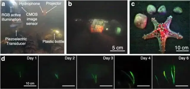 mit underwater camera d