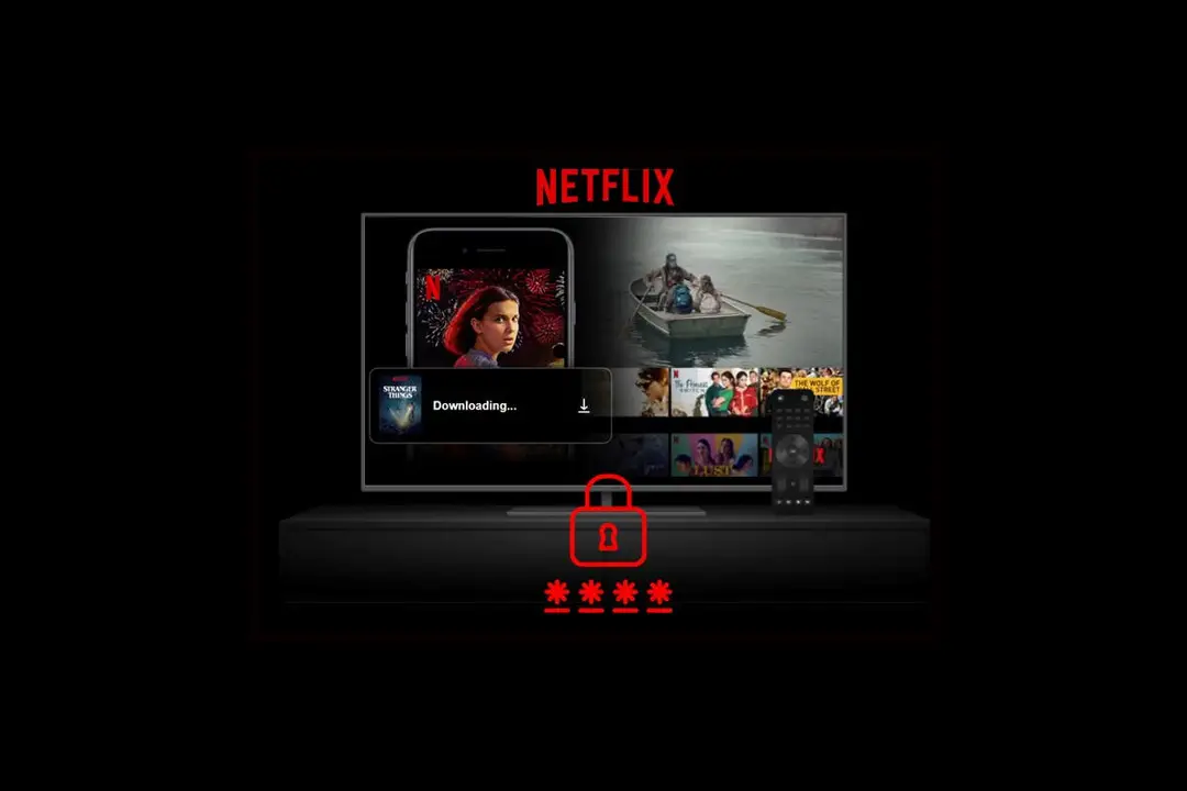 netflix password