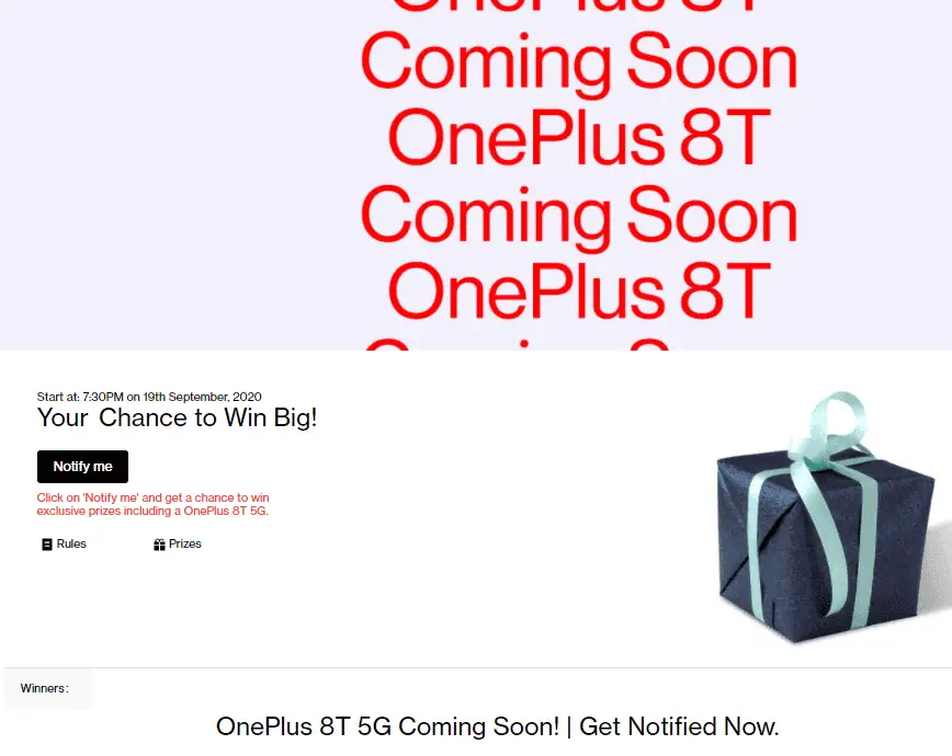 oneplus 8t b