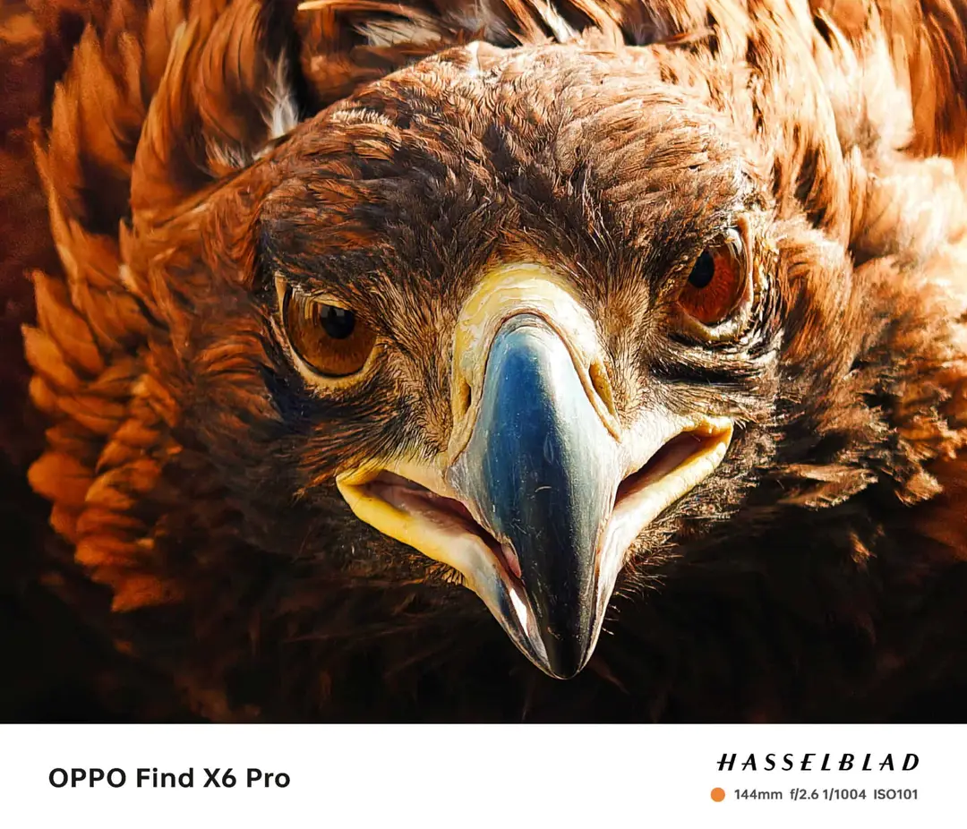 oppo find x6 pro camera telephoto scaled