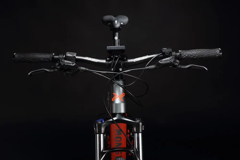 pesu monster 05