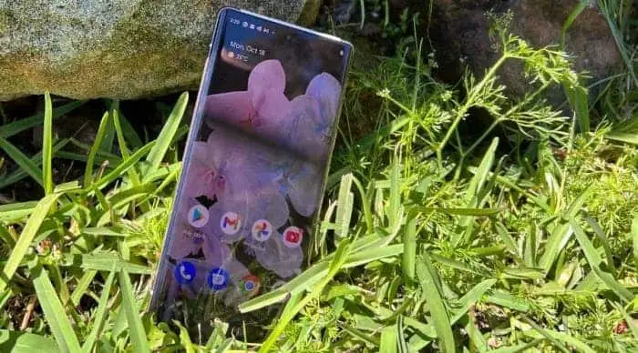 pixel 6 6