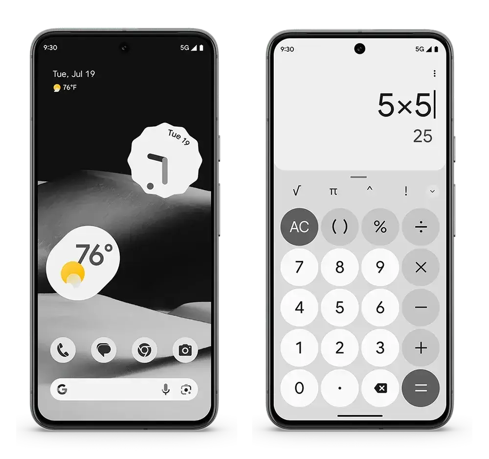 pixel 8 monochrome side by side width 1000format webp