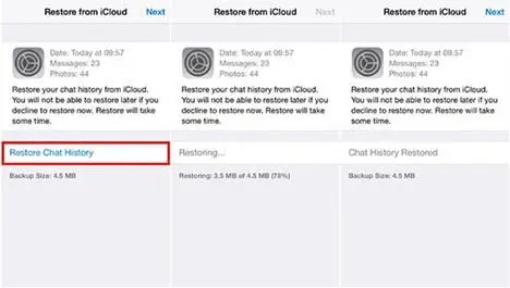 restoring chat history