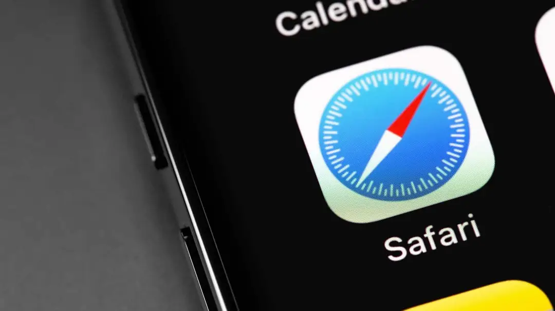 safari