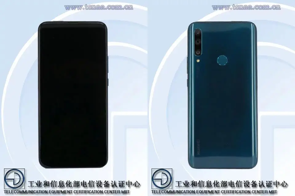 tenaa