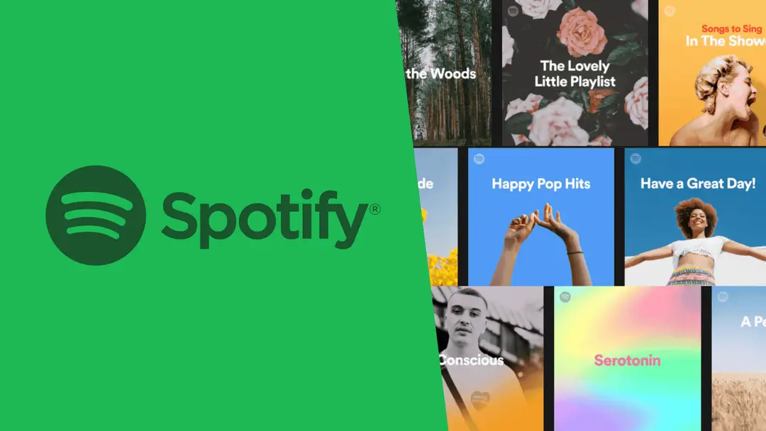 the best spotify playlists