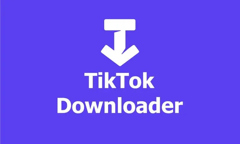 tiktok video downloader