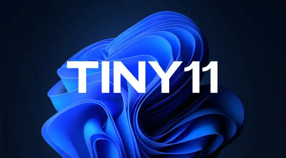 tiny112