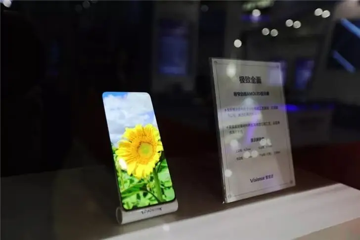 visionox