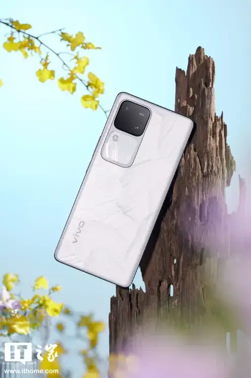 vivo s19