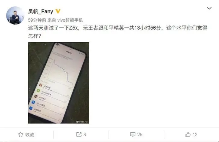 vivo z5x d