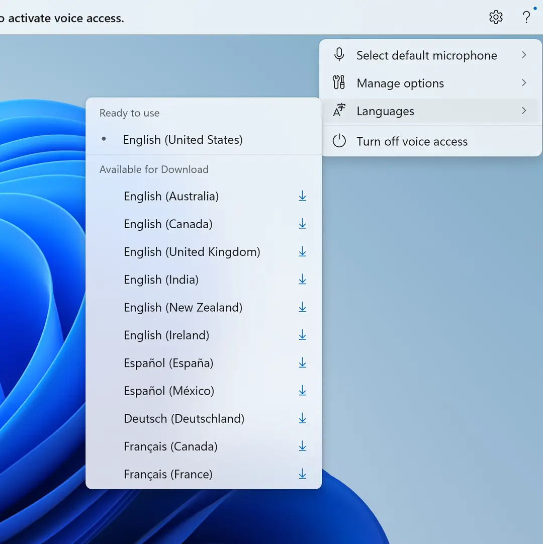 voice access new langs 1