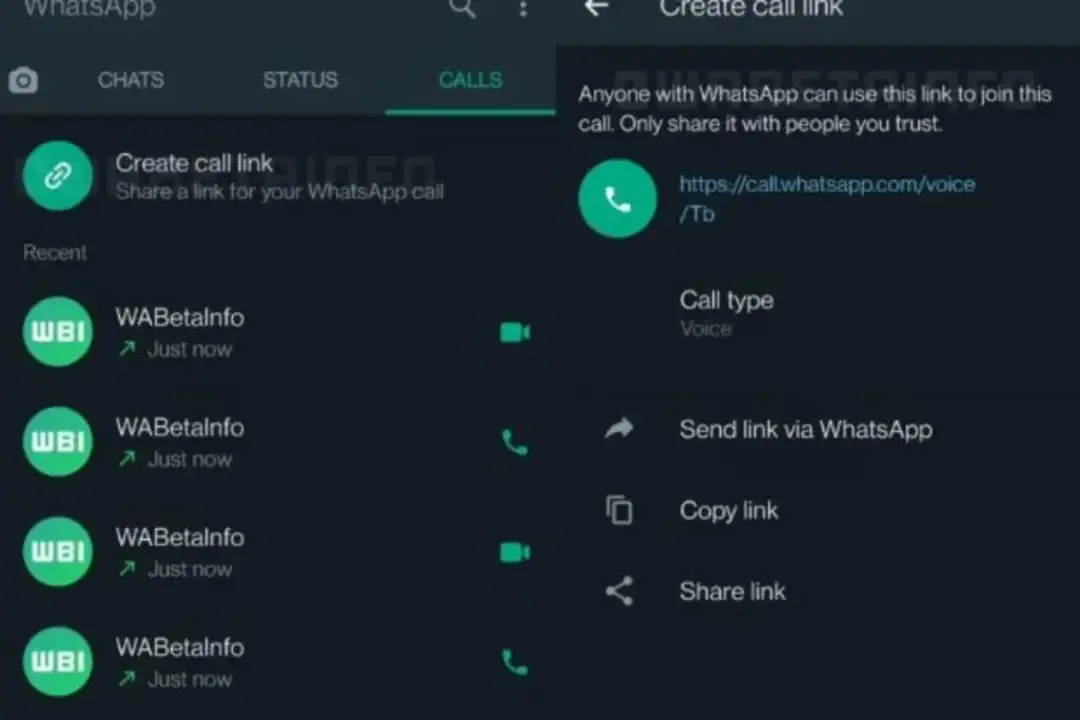 whatsapp call link