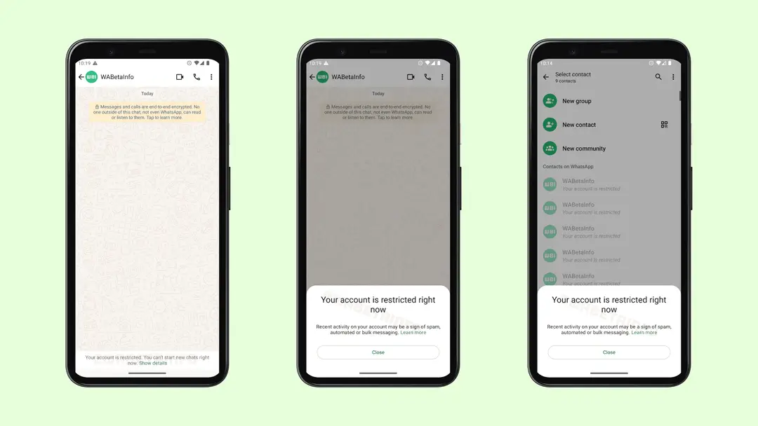 whatsapp z
