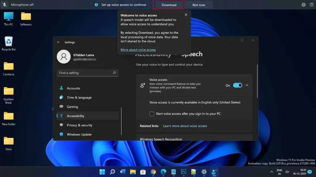 widows 11 voice access setup settings 2