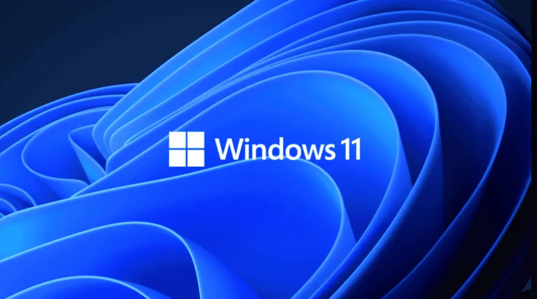 windows 11 issue