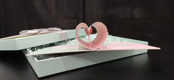xiaomi cc9 invitation letter c