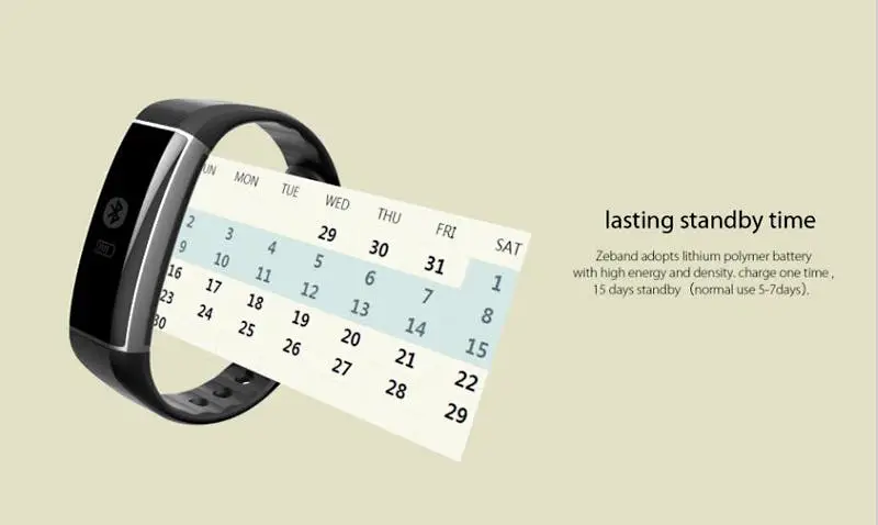 zeband 7