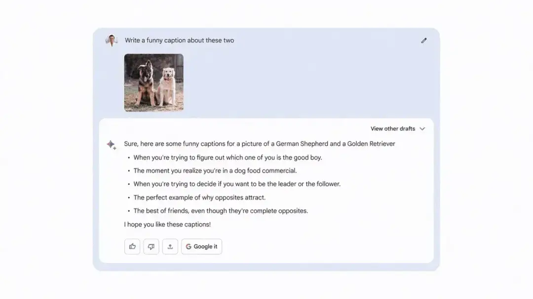 bard google lens