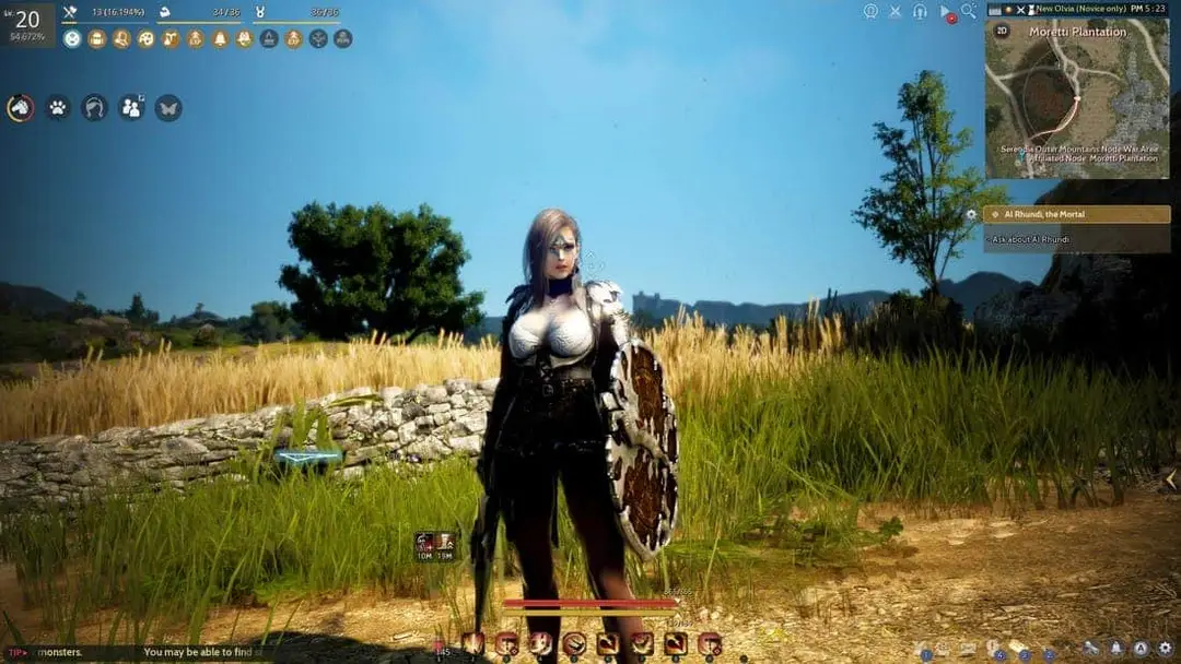 black desert