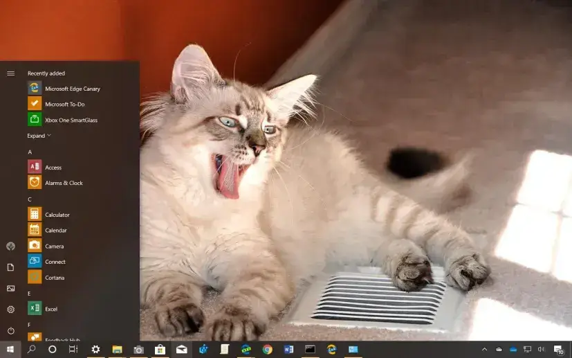 cats