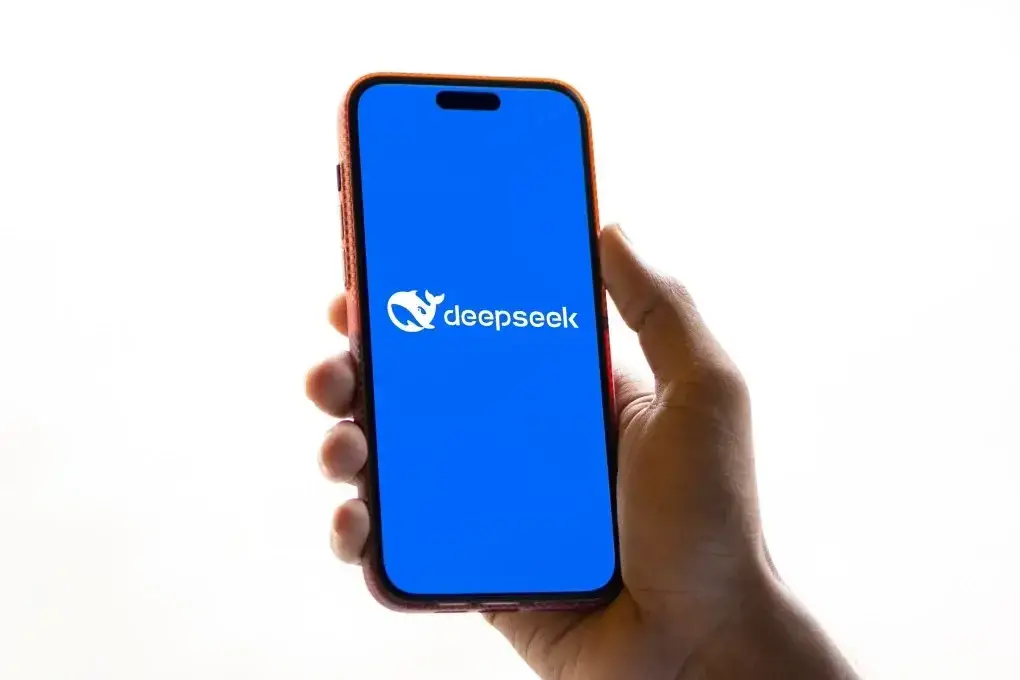 deepseek1