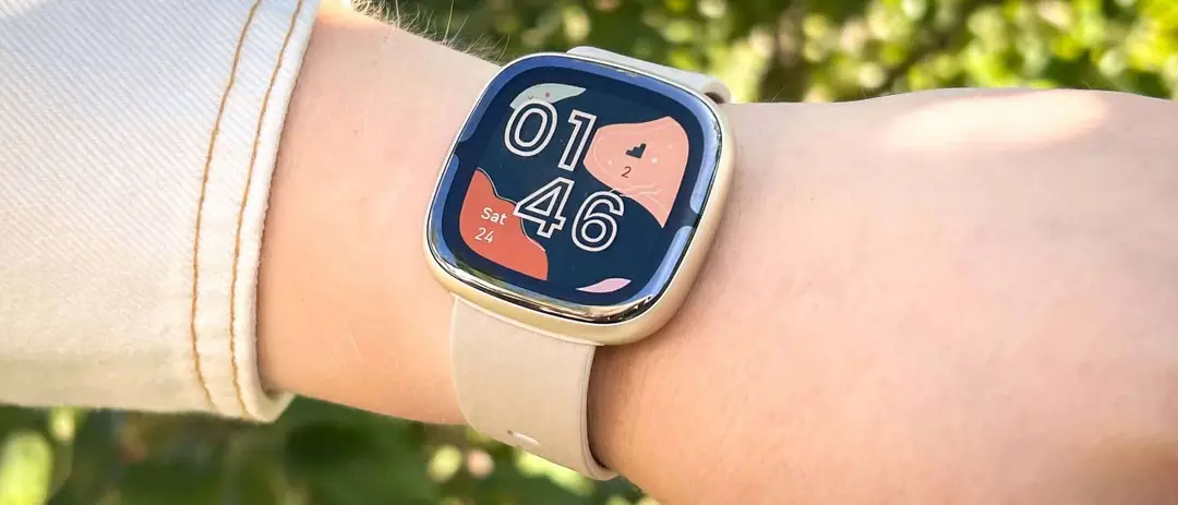 fitbit1