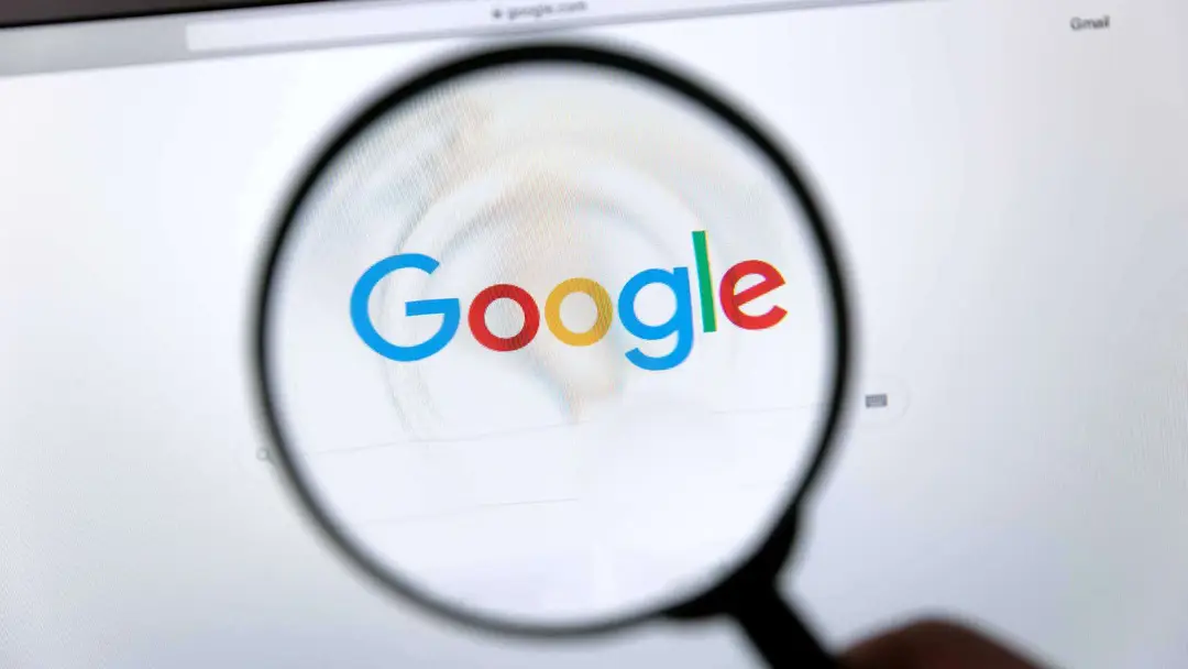 google search drop