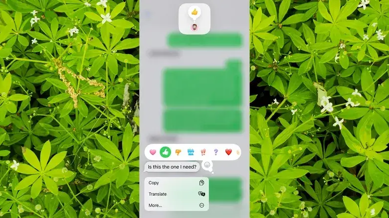 iphone rcs4