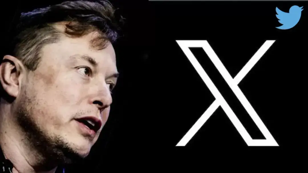 mr beast x