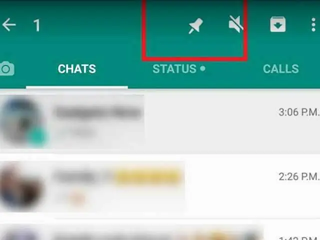 pinned chats