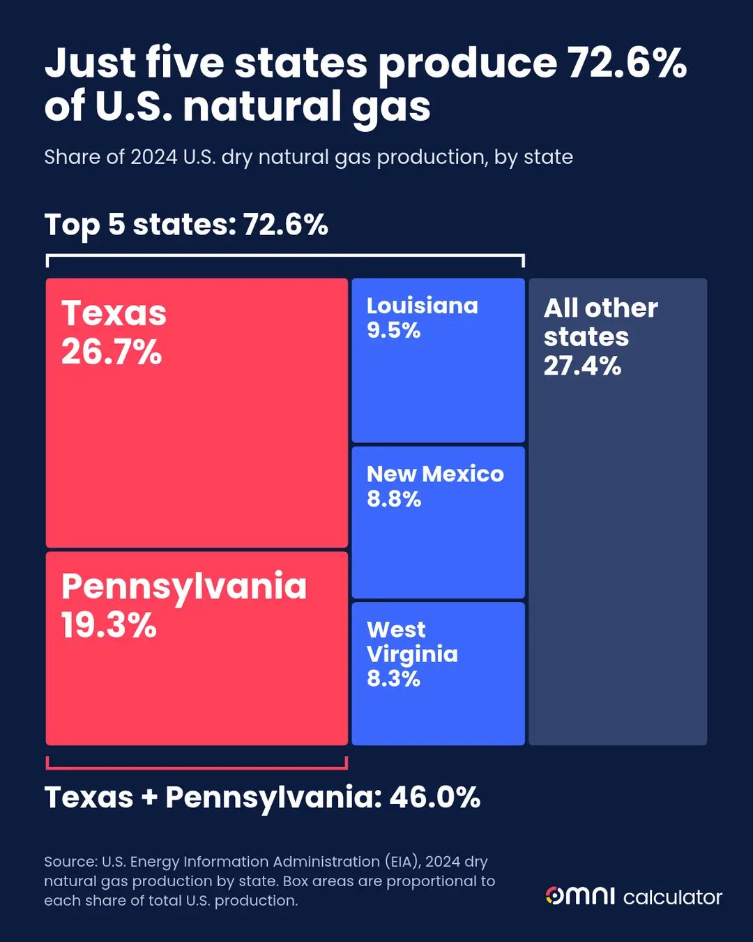 Chart showing the share of US natural gas production by state in 2024.