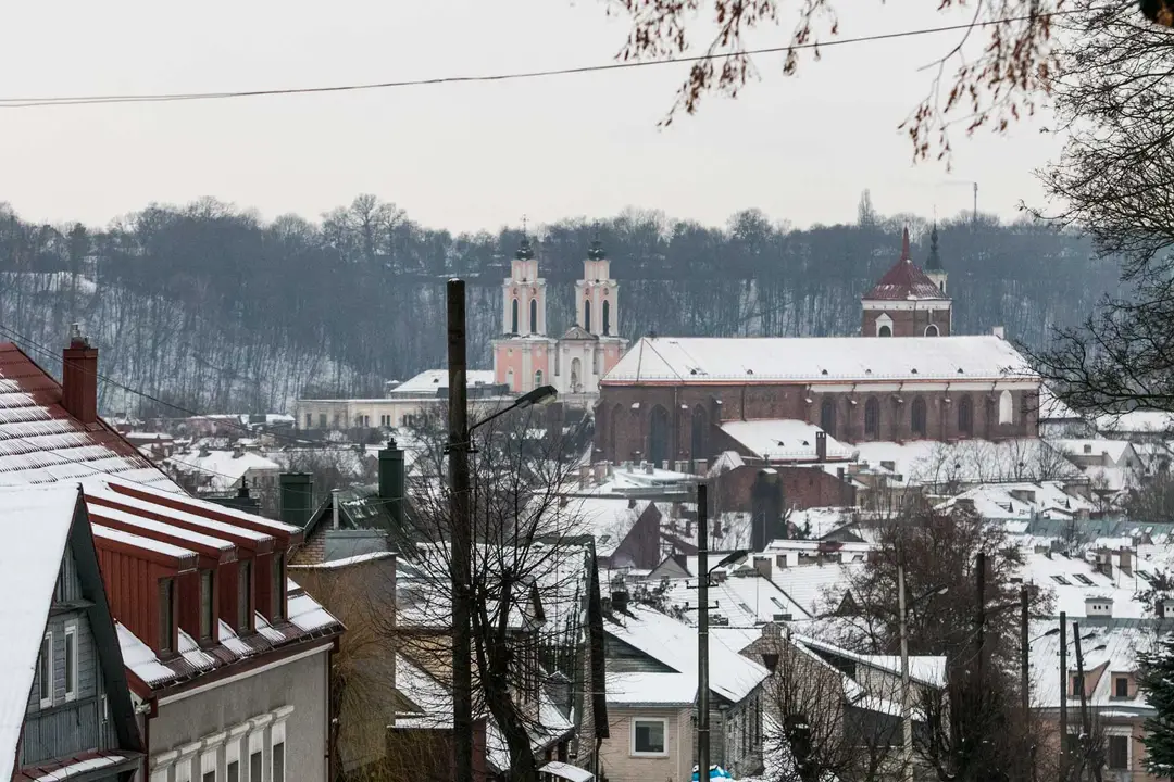 Pelėdų kalnas