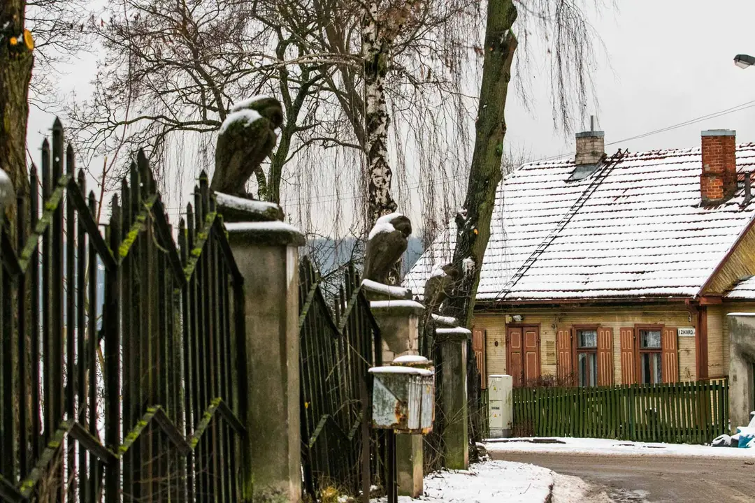 Pelėdų kalnas