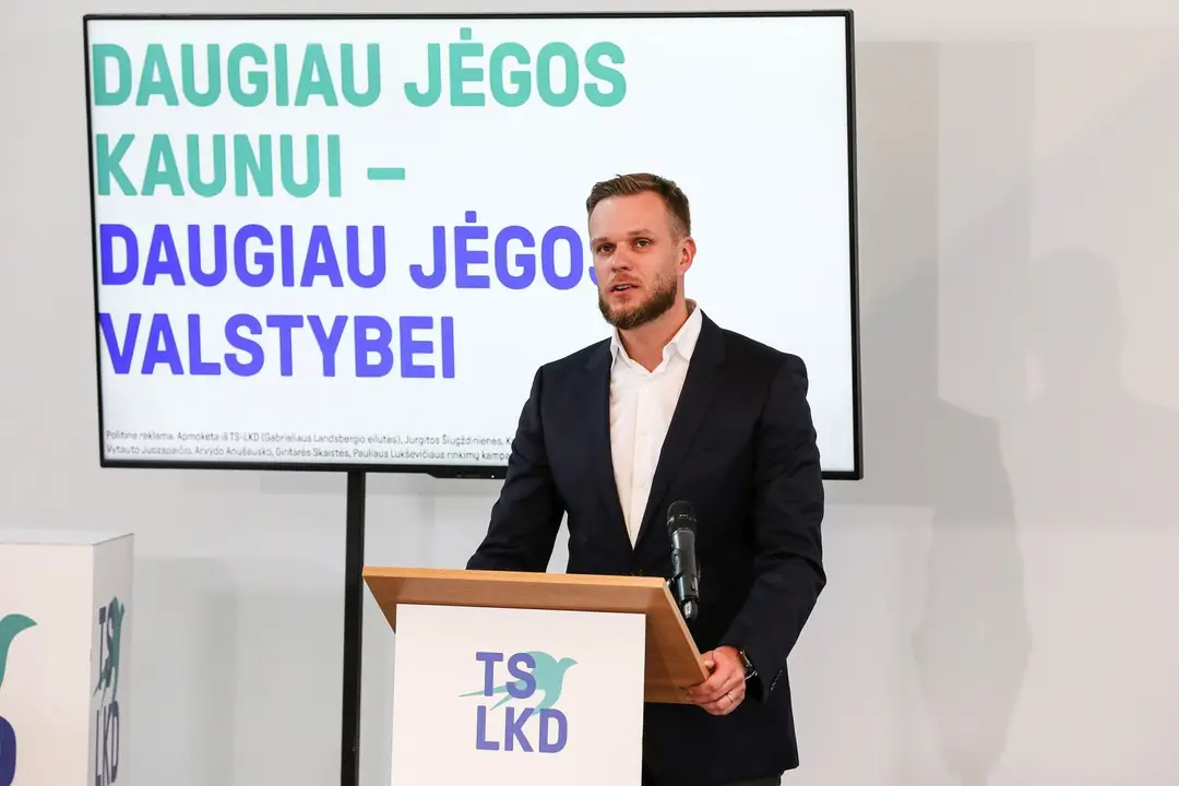 tslkd straipsniui 2