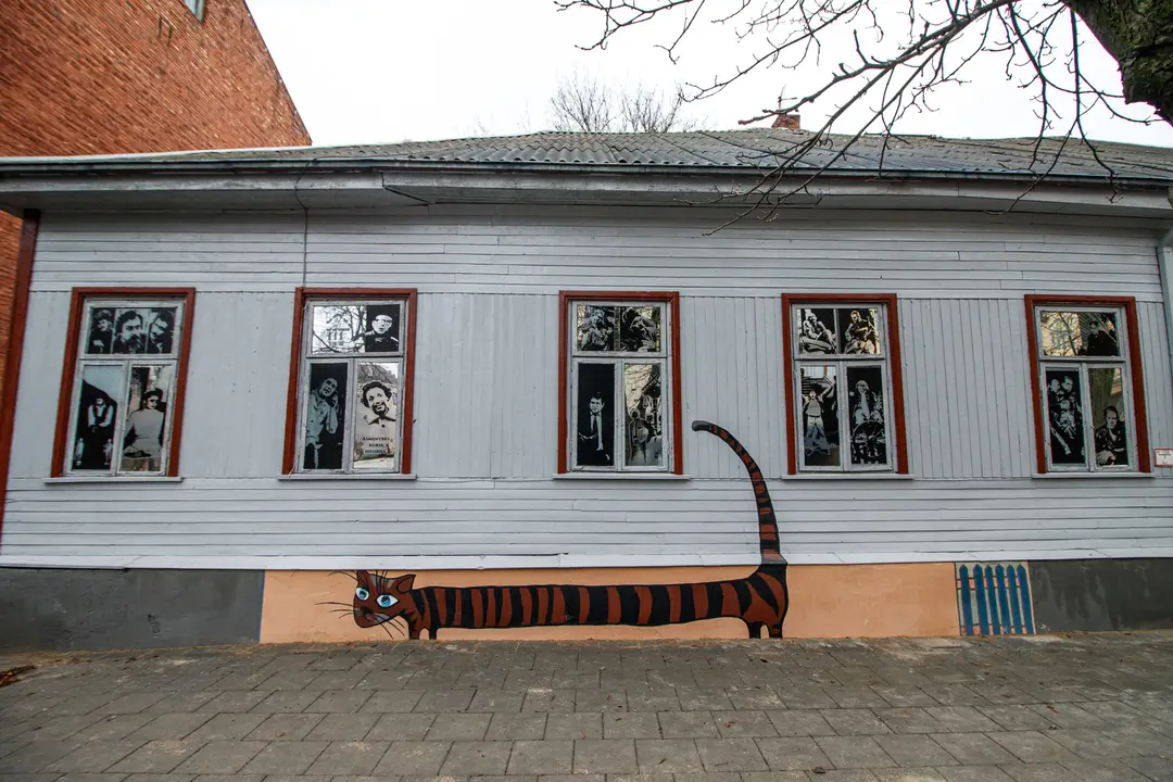 KVK_6332