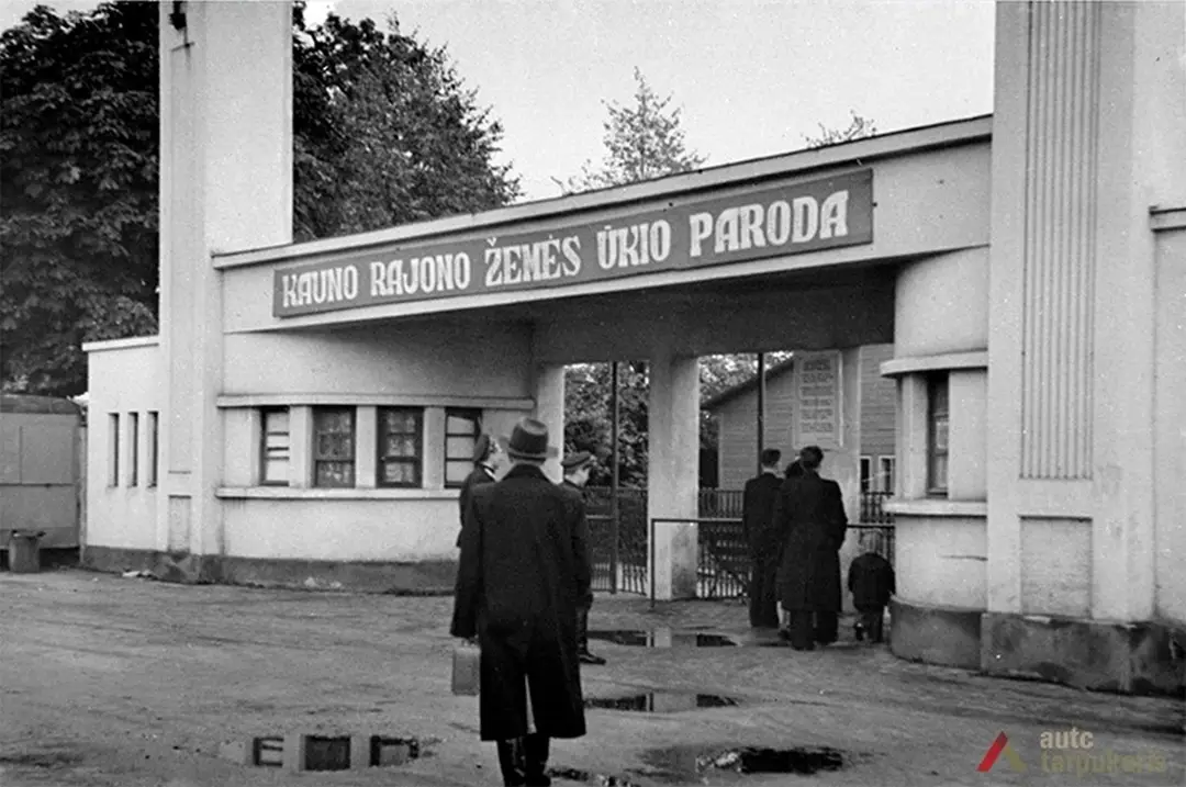 1955