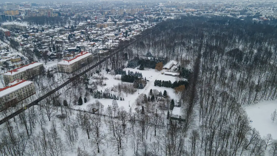 Planuojama stovėjimo aikštelė Ąžuolyno parke