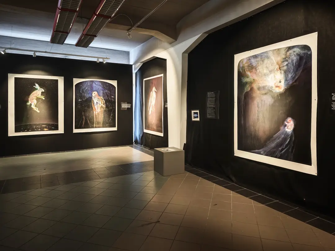 Tarptautinis fotografijos ir medijų meno festivalis