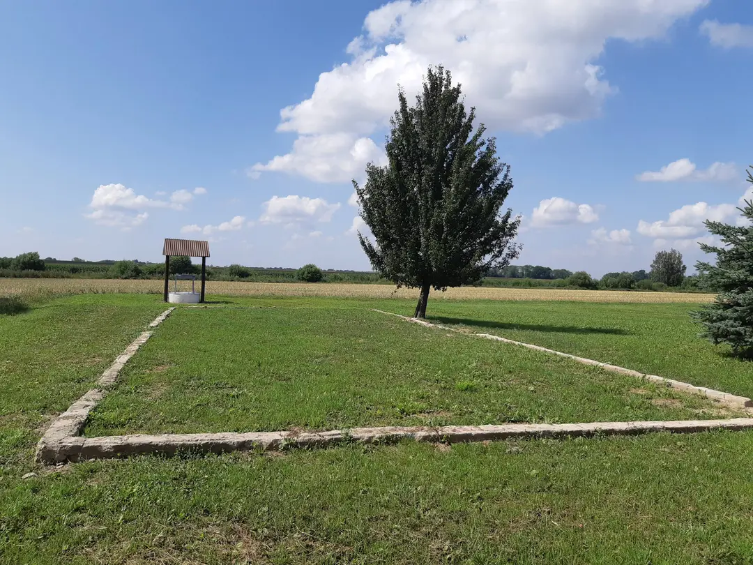 A. Dirsytės gimtųjų namų sodybos vieta – Dirsynė (dab. Kėdainių r., Aukštieji Kapliai), ten stovi Adolfo Teresiaus sukurtas kryžius / D. Gervytės archyvo nuotr.