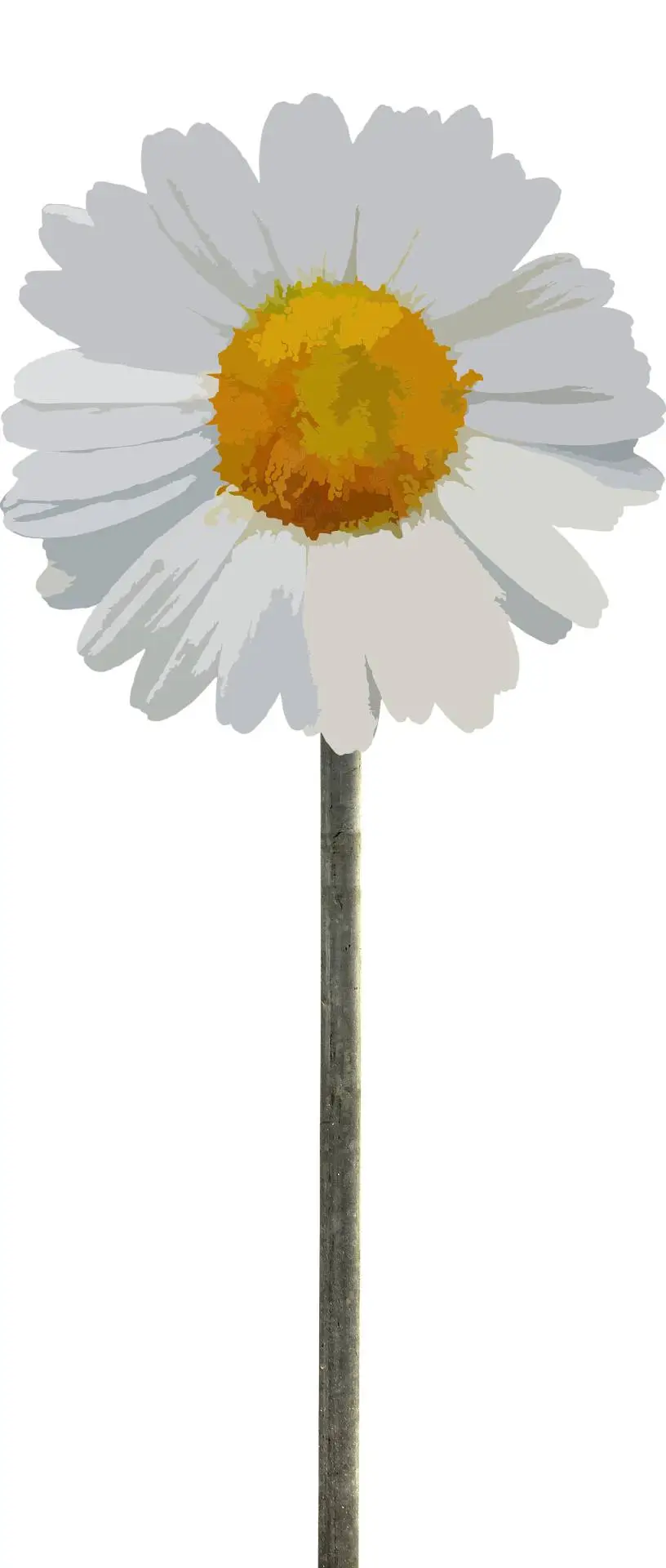 verkeersbord