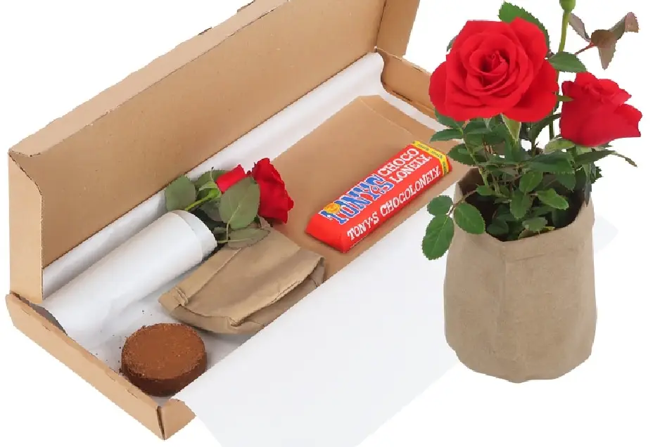 bloompost 1