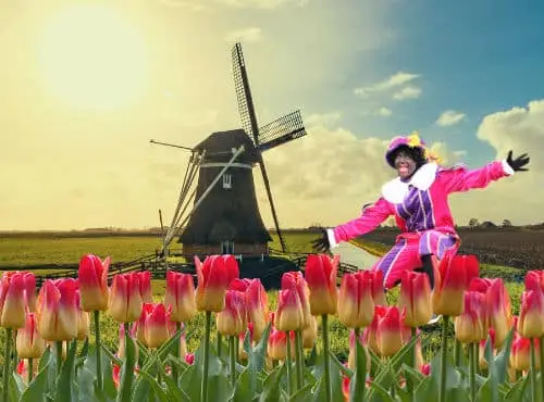 zwartepiet500