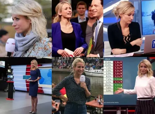 dionne stax afscheid