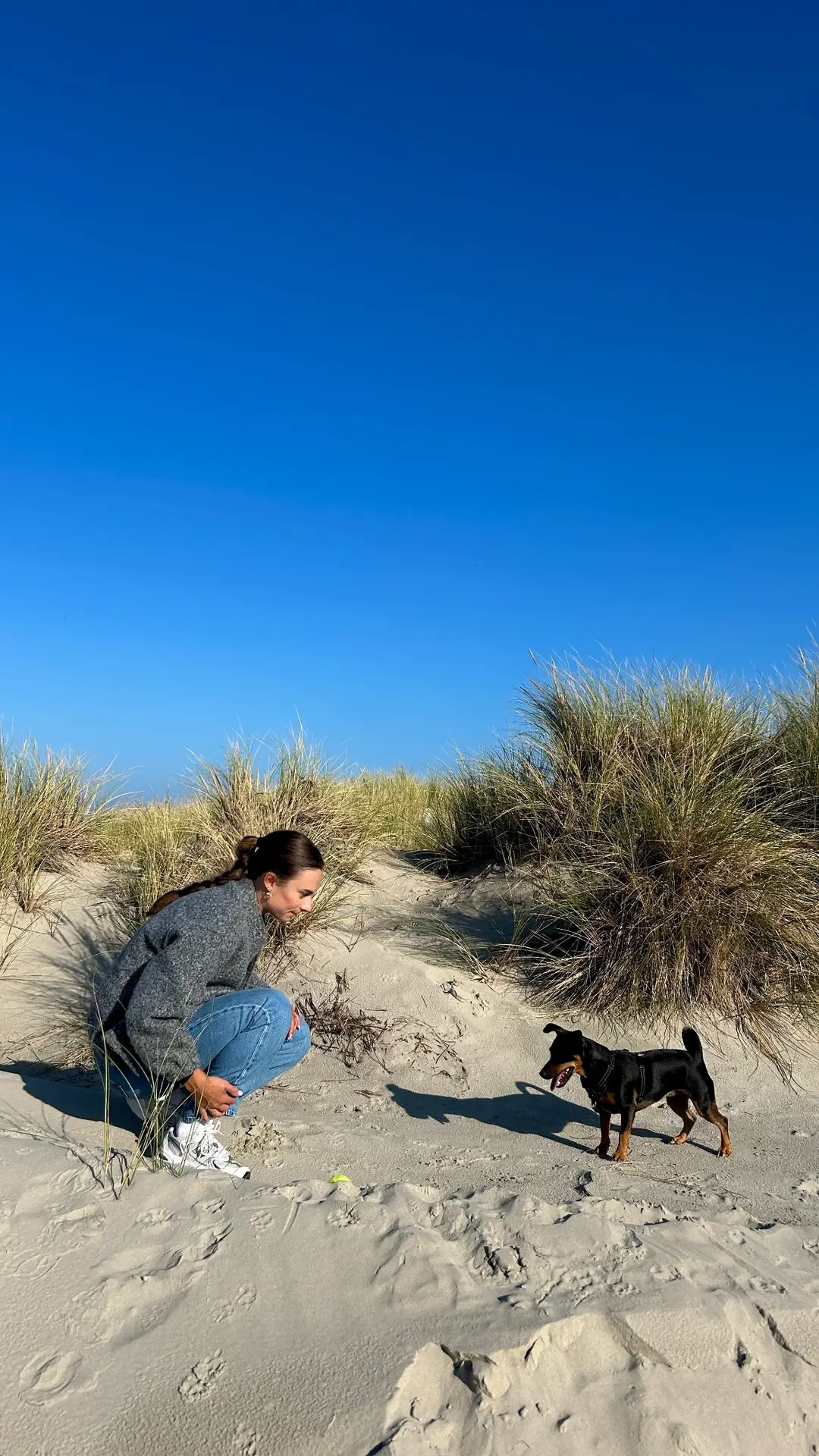 femke kok en haar kwispelende vriendje in de duinen