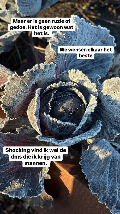 Miljuschka boodschap